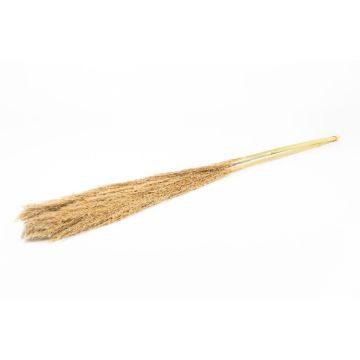 Botte sèche de roseau DONJETA, naturel, 115-120cm, Ø15cm Botte sèche de roseau DONJETA, naturel, 115-120cm, Ø15cm