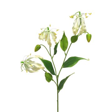 Branche de fleurs artificielles « Couronne de gloire » XIANGTING, crème, 85 cm