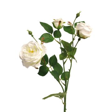 Branche décorative de rose SHIYUN, crème, 60 cm, Ø 3,5-8,5 cm Branche décorative de rose SHIYUN, crème, 60 cm, Ø 3,5-8,5 cm