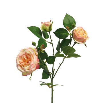 Branche décorative « Rose SHIYUN », rose-fuchsia, 60 cm, Ø 3,5-8,5 cm Branche décorative « Rose SHIYUN », rose-fuchsia, 60 cm, Ø 3,5-8,5 cm