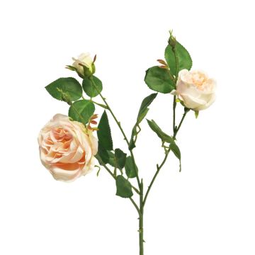 Branche de rose décorative SHIYUN, crème-rose, 60 cm, Ø 3,5-8,5 cm Branche de rose décorative SHIYUN, crème-rose, 60 cm, Ø 3,5-8,5 cm