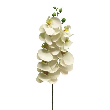 Branche artificielle d'orchidée Phalaenopsis SONGYA, blanche, 75 cm