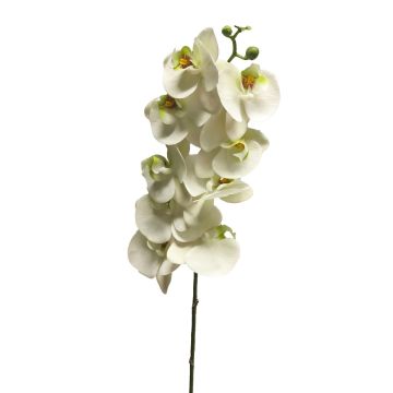 Branche artificielle d'orchidée Phalaenopsis SONGYA, blanche, 105 cm