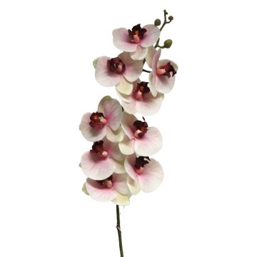 Branche artificielle d'orchidée Phalaenopsis SONGYA, rose-crème, 105 cm Branche artificielle d'orchidée Phalaenopsis SONGYA, rose-crème, 105 cm