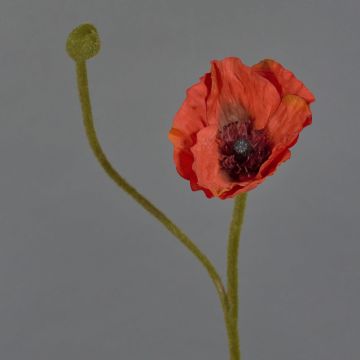 Fleur artificielle de pavot YILAN, rouge, 60 cm, Ø 12 cm Fleur artificielle de pavot YILAN, rouge, 60 cm, Ø 12 cm