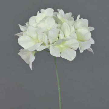 Fleur décorative « Hortensia » FUHUA, crème, 23 cm, Ø 14 cm