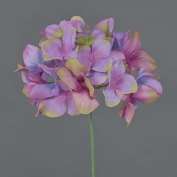 Fleur décorative hortensia FUHUA, violet-rose-bleu-vert, 23 cm, Ø 14 cm