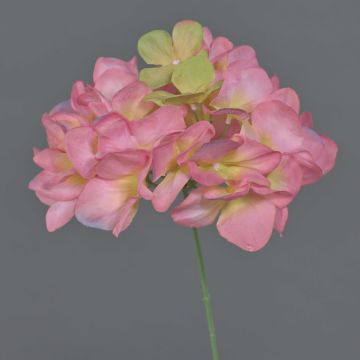 Fleur décorative hortensia FUHUA, rose-vert, 23 cm, Ø 14 cm Fleur décorative hortensia FUHUA, rose-vert, 23 cm, Ø 14 cm