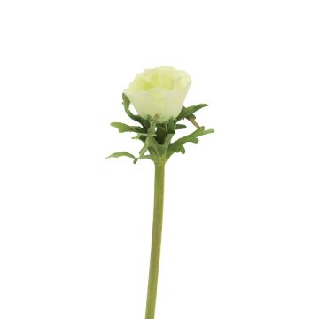 Fleur synthétique Anémone BOYANG, vert clair, 35cm, Ø6cm