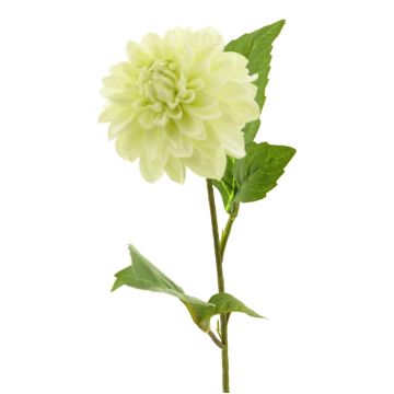 Fleur synthétique dahlia WANRU, crème, 50cm, Ø9cm Fleur synthétique dahlia WANRU, crème, 50cm, Ø9cm