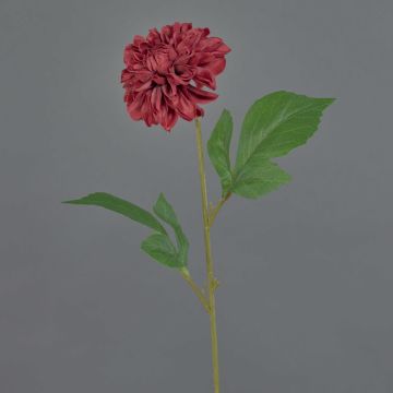 Fleur artificielle Dahlia WANRU, rouge foncé, 50cm, Ø9cm Fleur artificielle Dahlia WANRU, rouge foncé, 50cm, Ø9cm