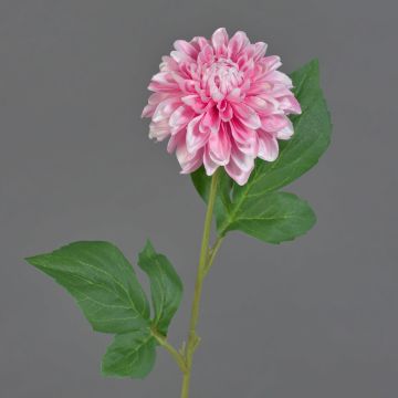 Fleur synthétique dahlia WANRU, rose-blanc, 50cm, Ø9cm Fleur synthétique dahlia WANRU, rose-blanc, 50cm, Ø9cm