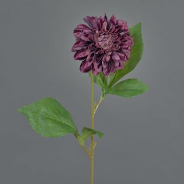 Fleur artificielle Dahlia WANRU, violet foncé, 50cm, Ø9cm Fleur artificielle Dahlia WANRU, violet foncé, 50cm, Ø9cm