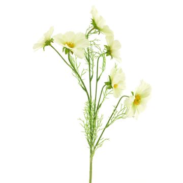 Branche décorative de cosmos YUNIAN, crème, 75 cm