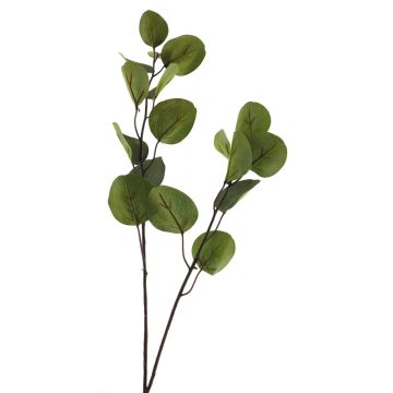 Branche décorative d'eucalyptus AOSHAN, verte, 80 cm