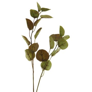 Branche décorative d'eucalyptus AOSHAN, marron-vert, 80 cm