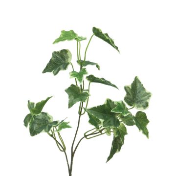 Branche décorative de lierre LANSHUO, vert et blanc, 55 cm Branche décorative de lierre LANSHUO, vert et blanc, 55 cm
