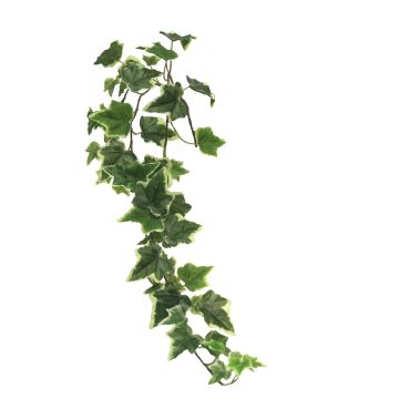 Branche décorative de lierre LANSHUO, vert et blanc, 80 cm