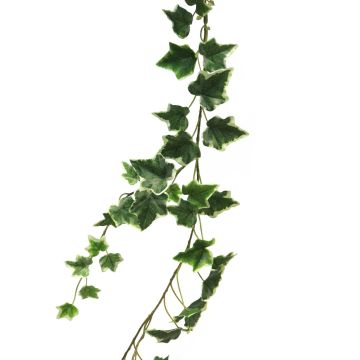 Guirlande décorative de lierre LANSHUO, vert-blanc, 180 cm Guirlande décorative de lierre LANSHUO, vert-blanc, 180 cm