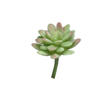 Fleur décorative Sedum rubrotinctum AOLUO sur tige, vert-rouge, 16cm