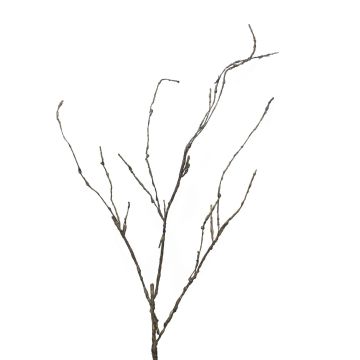 Branche décorative de saule torsadé LIFEN, marron, 95 cm