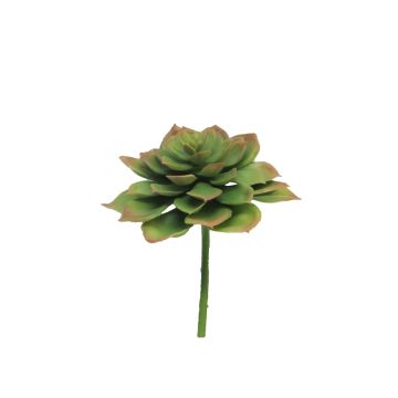 Echeveria morani artificielle XINYA sur tige, vert-rouge, 17cm Echeveria morani artificielle XINYA sur tige, vert-rouge, 17cm