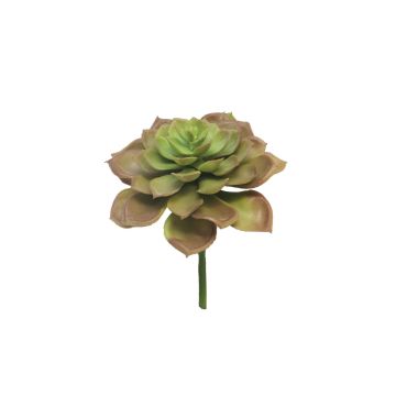 Echeveria morani XINYA artificielle sur tige, rouge-vert, 17cm Echeveria morani XINYA artificielle sur tige, rouge-vert, 17cm