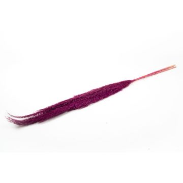 Botte sèche de roseau DONJETA, violet, 115-120cm, Ø15cm Botte sèche de roseau DONJETA, violet, 115-120cm, Ø15cm