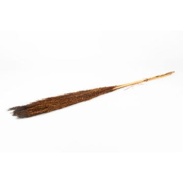 Botte sèche de roseau DONJETA, brun, 115-120cm, Ø15cm Botte sèche de roseau DONJETA, brun, 115-120cm, Ø15cm