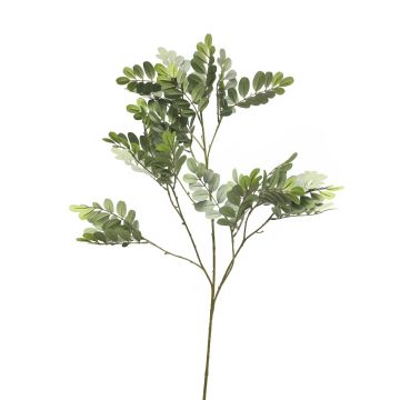Rameau décoratif de robinier WENLIN, gris-vert, 100cm Rameau décoratif de robinier WENLIN, gris-vert, 100cm