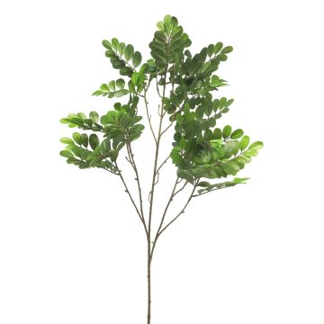 Branche décorative de robinier WENLIN, verte, 100cm Branche décorative de robinier WENLIN, verte, 100cm