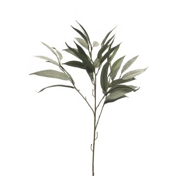 Branche décorative de mangue WENLIAN, vert-gris, 75cm Branche décorative de mangue WENLIAN, vert-gris, 75cm