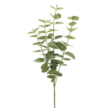 Branche artificielle d'eucalyptus MINJIA, verte, 65 cm Branche artificielle d'eucalyptus MINJIA, verte, 65 cm