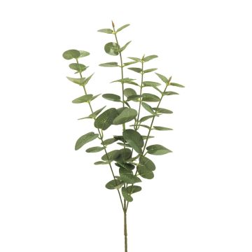 Branche artificielle d'eucalyptus MINJIA, vert-gris, 65 cm Branche artificielle d'eucalyptus MINJIA, vert-gris, 65 cm