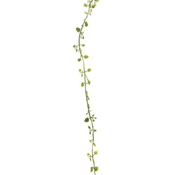 Guirlande artificielle muehlenbeckia JIAMIN, vert-gris, 240cm