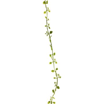 Guirlande artificielle muehlenbeckia JIAMIN, verte, 240cm Guirlande artificielle muehlenbeckia JIAMIN, verte, 240cm