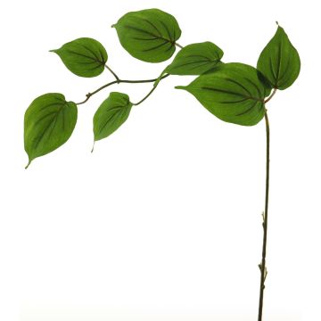 Branche décorative de cornouiller SHUNNAN, verte, 75cm Branche décorative de cornouiller SHUNNAN, verte, 75cm
