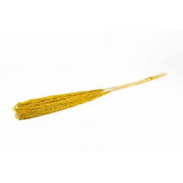 Botte sèche de roseau DONJETA, jaune, 115-120cm, Ø15cm Botte sèche de roseau DONJETA, jaune, 115-120cm, Ø15cm