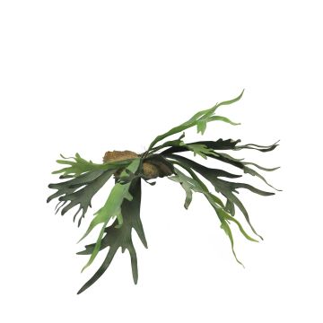 Fausse plante fougère cerf KONGXI sur tige, verte, 50cm Fausse plante fougère cerf KONGXI sur tige, verte, 50cm