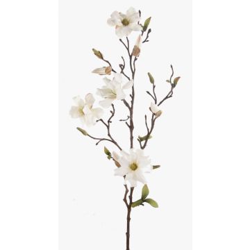 Magnolia artificiel LILO, crème, 75cm, Ø5-9cm Magnolia artificiel LILO, crème, 75cm, Ø5-9cm