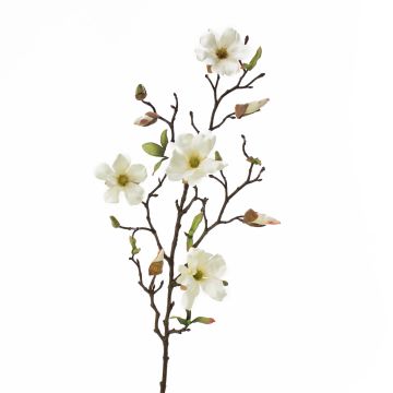 Magnolia artificiel LILO, crème, 75cm, Ø5-9cm