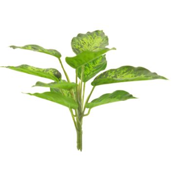 Plante décorative Dieffenbachia XUMEI, tige, vert-crème, 25cm