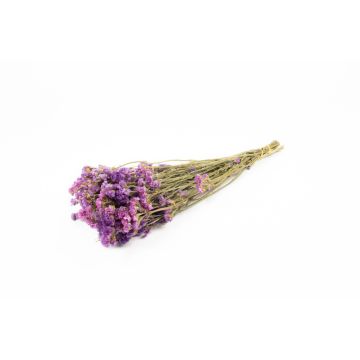 Bouquet de limonium BRINJA, séché, lilas, 50-65cm, Ø18cm