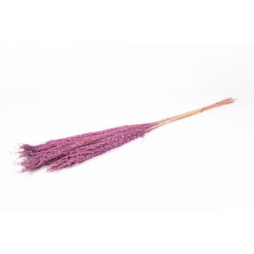 Botte sèche de roseau DONJETA, lilas, 115-120cm, Ø15cm Botte sèche de roseau DONJETA, lilas, 115-120cm, Ø15cm