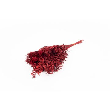 Branches de ruscus séchées AGNIATA, rouge, 70-75cm, Ø17cm Branches de ruscus séchées AGNIATA, rouge, 70-75cm, Ø17cm