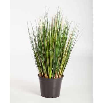 Herbe artificielle FELIX, vert, 60cm
