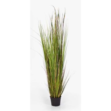 Künstliches Fuchsschwansgras SATRIO, grün-gelb-braun, 150cm Künstliches Fuchsschwansgras SATRIO, grün-gelb-braun, 150cm