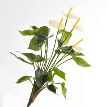 Plante fleurie artificielle Anthurium LORIE à planter, crème, 55cm, 6x8cm Plante fleurie artificielle Anthurium LORIE à planter, crème, 55cm, 6x8cm