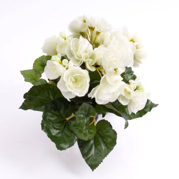 Fausse fleur Bégonia IVANA à planter, crème, 20cm, Ø3-5cm