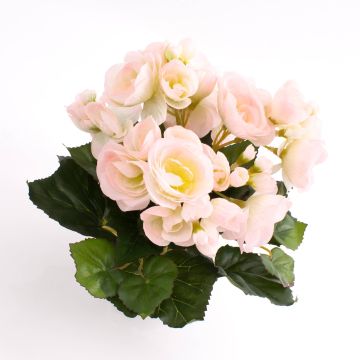 Fausse fleur Bégonia IVANA à planter, rose-blanc, 20cm, Ø3-5cm